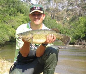 Brett Castles with nice Murray cod caught in the above Lake Hume casting a 1/2oz Murray River Spinnerbait.
